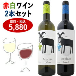 スペインワイン 特徴 赤 白 おすすめ お土産 飲み比べ送料・消費税込み ギフト プレゼント ラッピング 熨斗 メッセージカード 結婚祝い お祝い 可愛い ラベル セット オーガニック パーティー