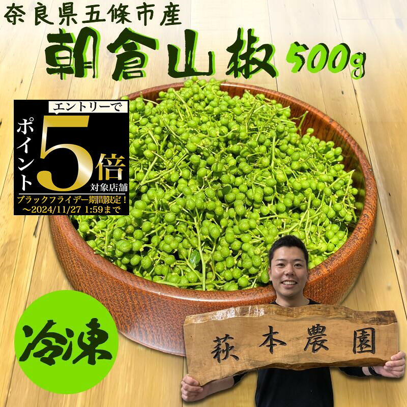 花山椒 100グラム 無農薬 採れたて 花山椒 無農薬 100グラム 奈良県産