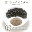 黒コショウ パウダー 100g 【メール便】（保存に便利なチャック付袋入り！）｜黒コショウパウダー 粉末 黒胡椒 こしょう ブラックペッパー 業務用 スパイス 調味料