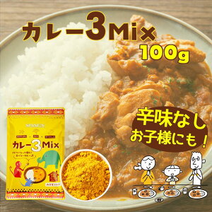 DEAL10%+5%バック★～5/2 9:59まで!!【1000円ポッキリ】辛味なし 子供向け スパイスカレー ブレンド 約50皿分!! カレー スパイス 3MIX 100g 【メール便】チャック袋入 手作り 初心者 ターメリック クミン コリアンダー カレーパウダー カレー粉 ギフト ポイント消化