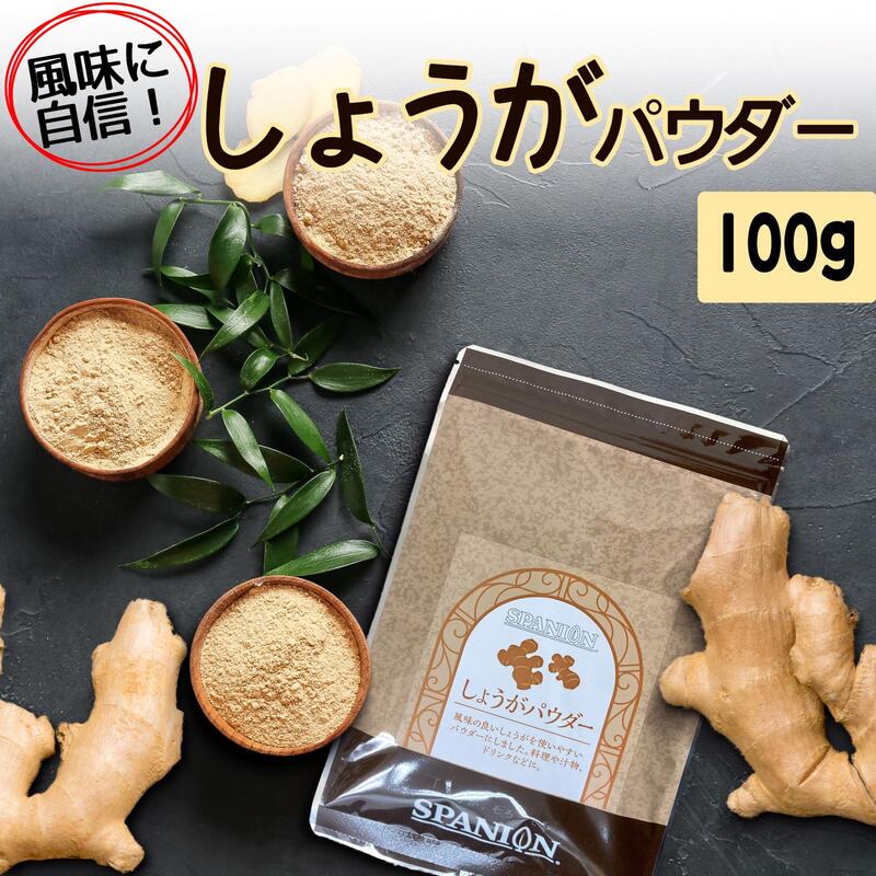 ★レビュー特典あり★しょうが パウダー 100g 【メール便】 保存に便利なチャック袋入り！｜しょうがパウ..