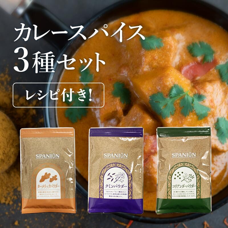 【メール便】 スパイスセット カレー レシピ付き 約100皿分 カレー スパイス 3種 セット 各種チャック袋入り｜ スパイスカレー 手作り 初心者 辛味なし ターメリック クミン コリアンダー 粉末…