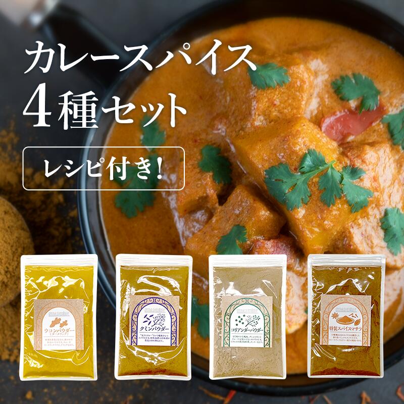 【送料無料】＼1皿15円で本格スパイスカレー!!約100皿分!!／カレースパイス4種セット(レシピ付き) 保存に便利なチャック付袋入り！：ターメリック・クミン・コリアンダー・ガラムマサラ パウダー(粉末) 各100g【レビューでスパイス瓶特典】｜ギフト 福袋