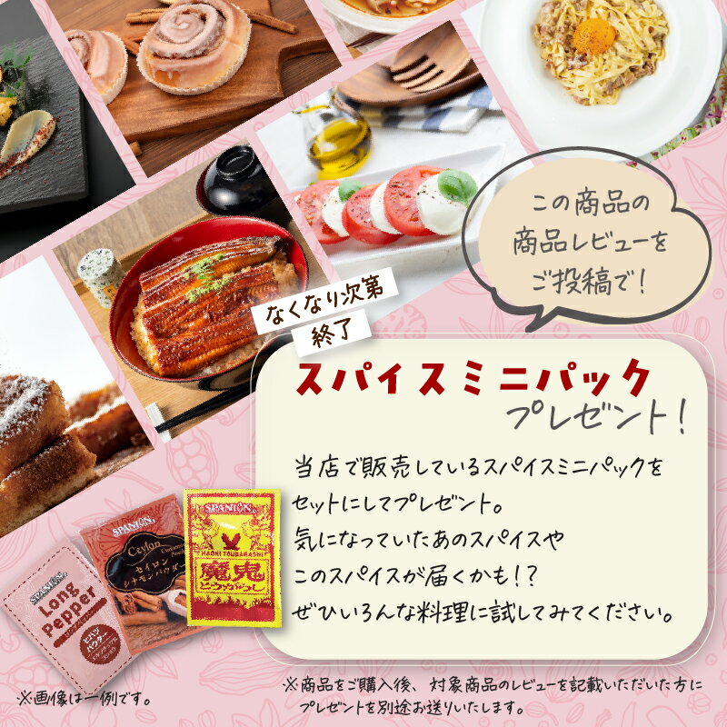 【SALE中！＆クーポン有】スパイスハンター オリジナル カレーパウダー 100g レビューでお試しスパイスプレゼント！ チャック袋入り インドカレー カレー粉 カレースパイス スパイスカレー シャンカール・ノグチ監修 北インド風 カレー 送料無料 3