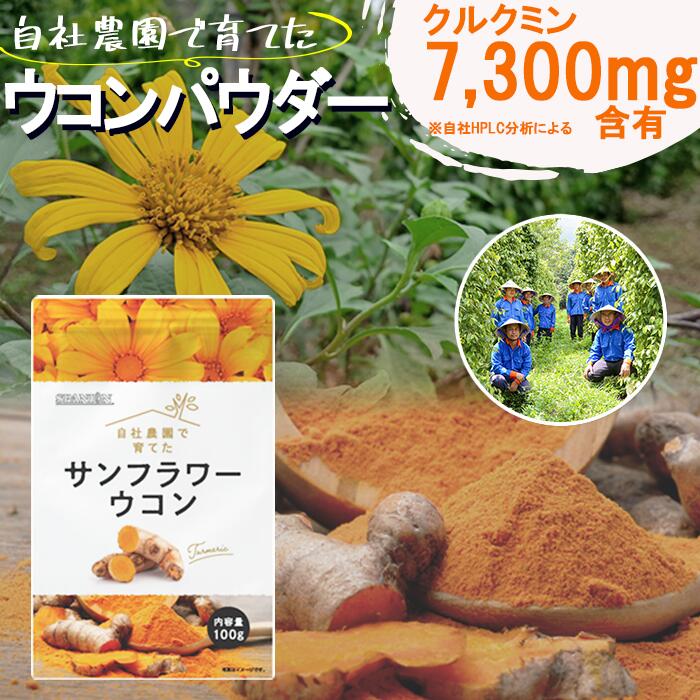 無農薬 栽培 高クルクミン【メール