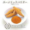 ターメリック ( ウコン ) パウダー 100g 【メール便】（保存に便利なチャック付袋入り！）｜ カレースパイス スパイスカレー ウコンパウダー ターメリックパウダー 粉末 秋うこん 業務用 スパイス カレー