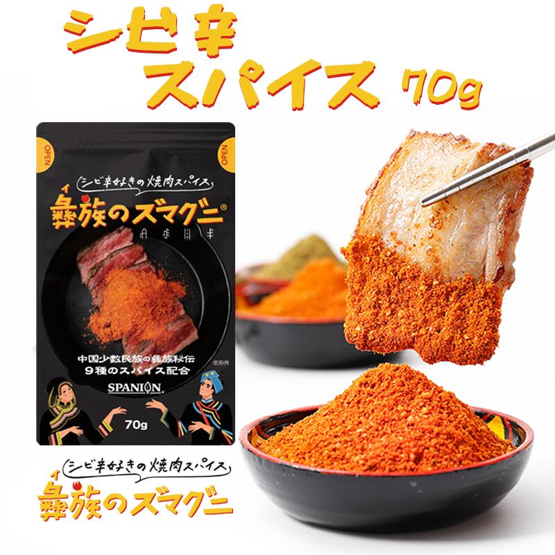 DEAL10%バック★～5/16 9:59まで!!【1000円ポッキリ】彝族のズマグニ 〜シビ辛 好きの 焼肉 スパイス 〜 70g 【メール便】チャック袋入｜ BBQスパイス アウトドアスパイス バーベキュー 金の太陽 花椒 唐辛子 クミン 麻辣 マーラー 花山椒 万能 万能調味料