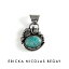 ERICKA NICOLAS BEGAY å ˥饹 ӥ amazonite pendant top ޥʥ ڥȥȥå ʥХ² ŷ С ǥ󥸥奨꡼  ǥ ѥȡ 礭