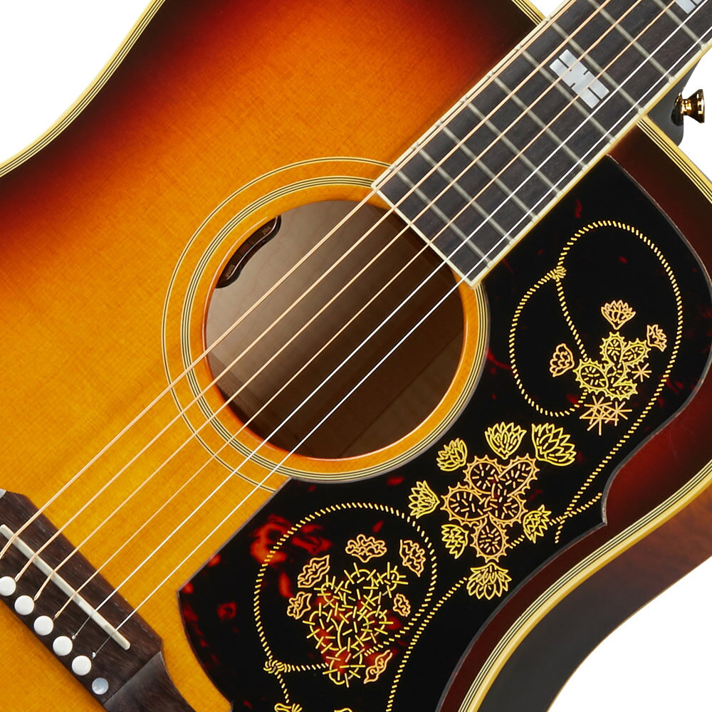 Epiphone Frontier USA C...の紹介画像3