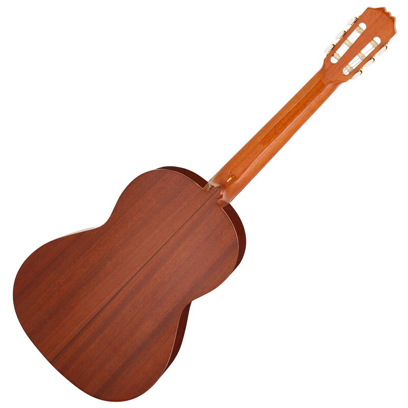 Aria ACE-5S [Solid Spruce Top/Sapelli Back & Sides] [本数限定特別価格] 【 ア...