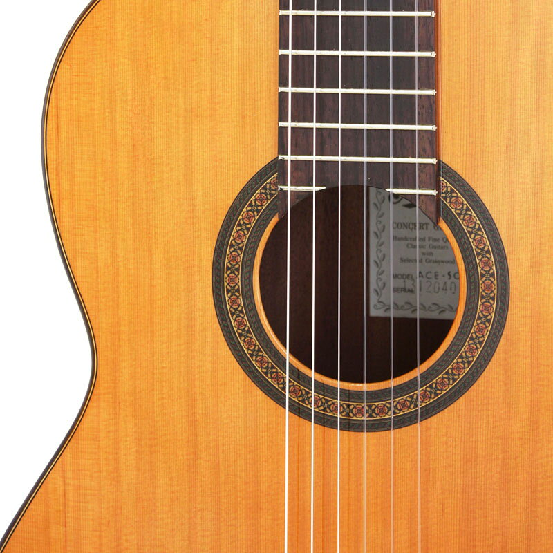 Aria ACE-5C [Solid Cedar Top/Sapelli Back & Sides] [本数限定特別価格] 【 アリ...