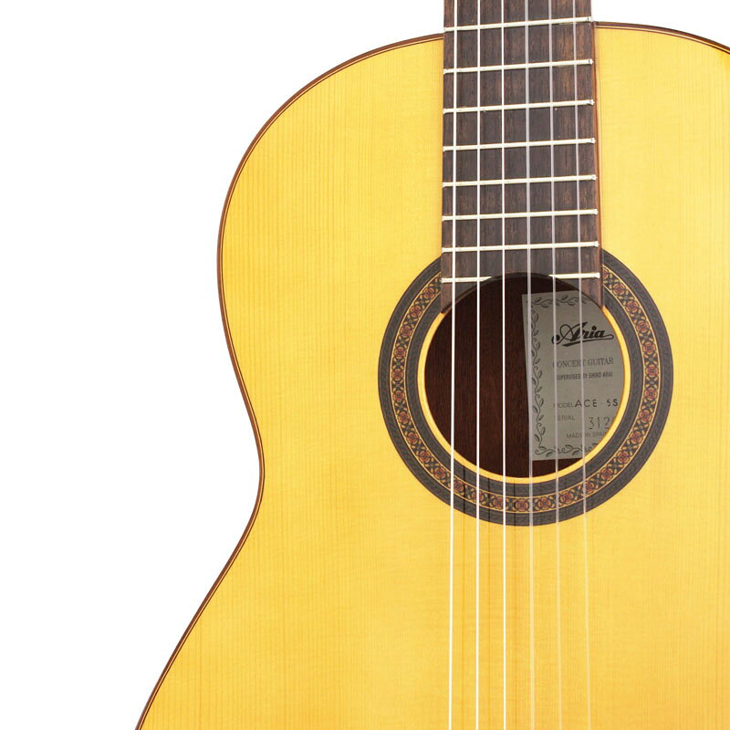 Aria ACE-5S [Solid Spruce Top/Sapelli Back & Sides] [本数限定特別価格] 【 ア...