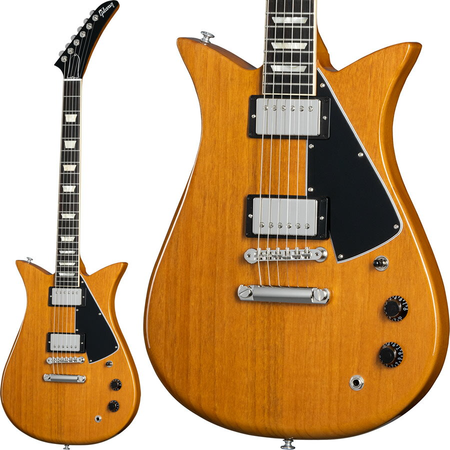 Gibson Theodore Standard (Antique Natural)  ֥ ɥ  ƥ ...