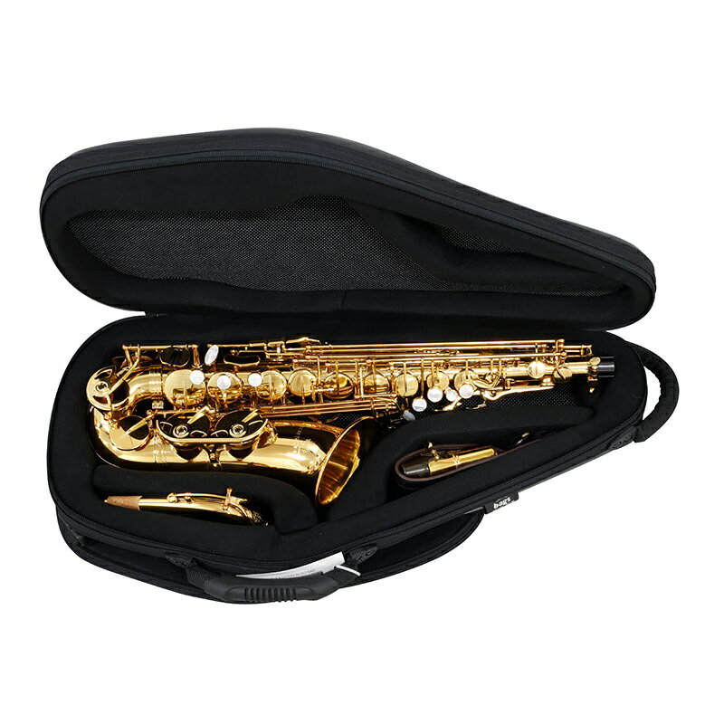BAGS ALTOSAX CASE(EFAS) [アルトサックス用]【 バッグス 管楽器 ファイバー ケー...