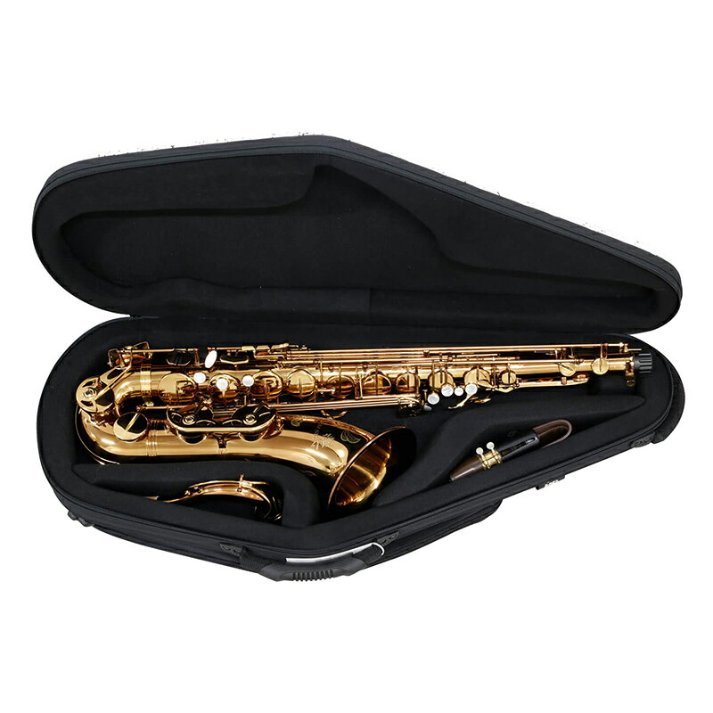 BAGS TENORSAX CASE(EFTS) [テナーサックス用]【 バッグス 管楽器 ファイバー ケー...