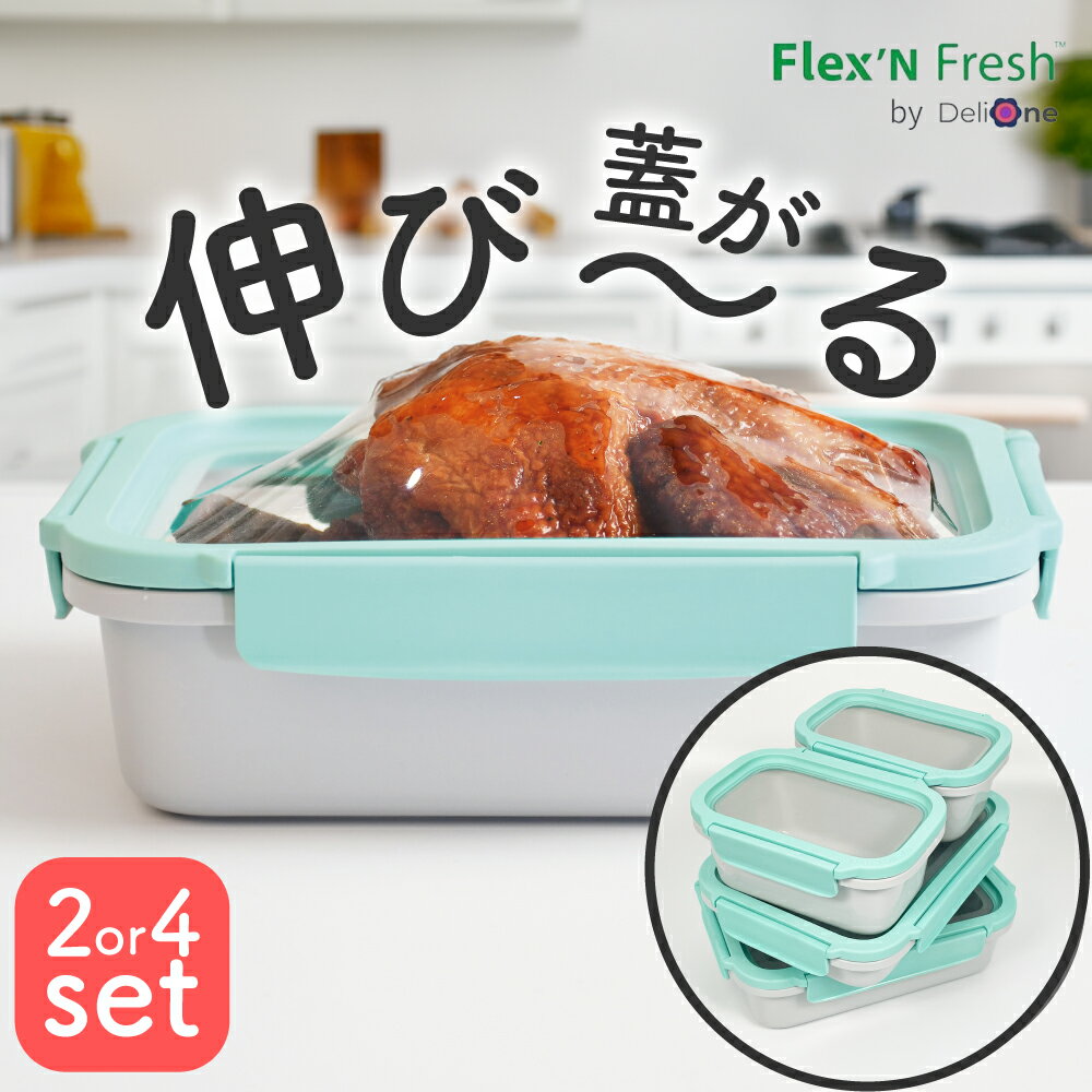 伸びるシリコン蓋 保存容器 Delione Flex'n Fresh containers 2〜4点セット 密閉 パッキン キャニスター プラスチック 伸びるふた シンプル おしゃれ ストッカー レンジ対応 食洗機対応 冷凍 食品 ストック 食品保存容器 BPAフリー