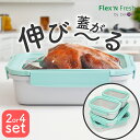 【マラソン限定20 OFFクーポン】伸びるシリコン蓋 保存容器 Delione Flex 039 n Fresh containers 2〜4点セット 密閉 パッキン キャニスター タッパー プラスチック 伸びるふた シンプル おしゃれ ストッカー レンジ対応 食洗機対応 冷凍 食品 ストック 食品保存容器 BPAフリー