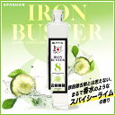 スパシャン メーカー直販 公式ストア アイアンバスター8 500ml 鉄粉除去剤 スパイシーライムの香り ゼロダメージ 洗車 シャンプー 汚れ落とし 鉄粉 洗車用品 カー用品 車 メンテナンス用品 ギフト SPASHAN