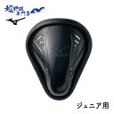 ミズノ MIZUNO 野球 ジュニア 少年野球 ファウルカップ 12JYAC2209