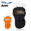 フランクリン Franklin 野球 手甲 リストガード プロテクター 手首 手の甲 リスト Protective Hand Guard 23566C