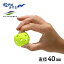 フィールドフォース ボール トレーニング用品 ミニバッティング練習ボール20個入 FBB-4020