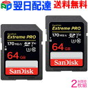 お買得2枚組 SanDisk SDカード