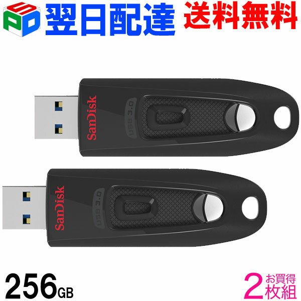 お買得2枚組 USBメモリ 256GB サンディ