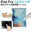 iPad Pro 12.9 饹ե ̵ б