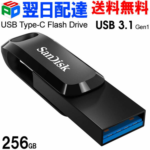 USBメモリ 256GB SanDisk サンディスク【翌日