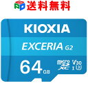 microSDカード 64GB microSDXCカード マイクロSD KIOXIA（旧東芝メモリー） EXCERIA G2 R:100MB/s W:50MB/s U3 V30 CLASS10 UHS-I A1 4K対応 Nintendo Switch動作確認済 海外パッケージ 送料無料 LMEX2L064GC4