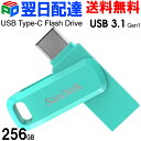 USBメモリ 256GB SanDisk サンディスク US
