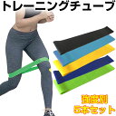 【ブラックフライデーポイント5倍】トレーニングチューブ エクササイズゴムバンド 5本セット フィットネス 筋トレ ストレッチ ヨガ 体幹 フィットネスチューブ【...