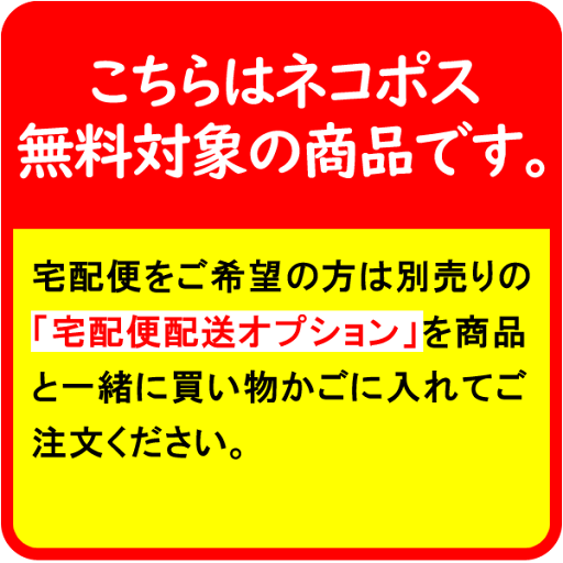アンダーショーツ スイムショーツ 水着用 インナーショーツ ショーツ 透け防止 レディース【翌日配達送料無料】 春夏特集