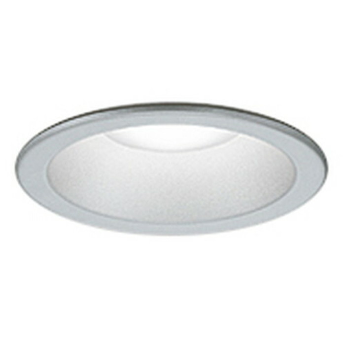 ǥå ƥꥢ LED饤  ɱ 100W 100 ޥåȥС :OD261986 :O...