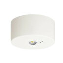 パナソニック LED非常灯 直付型 30分間タイプ LED低天井・小空間用(~3m) リモコン自己点検機能付 非常灯用ハロゲン電球9形1灯器具相当 クールホワイト 昼白色:NNFB90005K