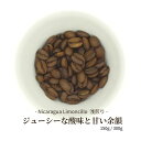 [華やかな酸味と甘み] ニカラグア 浅煎り 珈琲豆 150g / 300g リモンシージョ農園 ジャバニカ （スペシャルティコーヒー 珈琲専門店 自..