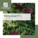 UN モアリーフ moreleaf【C】フェイクグリーン 壁面緑化 ML-O-C ユニオンビズ #フェイク グリーン 壁面緑化 壁材 観葉植物