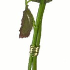 真鍮針金 (ミニ) #30×15 ［10セット (15M×10セット)］ #八幡ねじ YAHATA DIY 通販