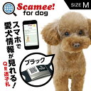 【特徴】愛犬・愛猫に是非つけてあげて欲しい情報共有タグ！ Scamee! for dogをつけていれば、愛犬・愛猫の命が助かる確率が高まります！ 使い方はとっても簡単！スマートフォンでQRを読み込んで、表示された画面に従って入力するだけ！ 災害で離れ離れになり、誰かに保護された時、愛犬・愛猫の健康情報や狂犬病接種、ワクチン接種情報をQRをスキャンして確認してもらうことができます。 また、保護してくれた人から飼い主に、保護したことをメッセージで送信してもらうことが可能です。 ご存知でしたか？マイクロチップでは、発見したその場で飼い主に連絡ができないことを。愛犬の健康情報もマイクロチップには入っていません。 Bluetoothなどを使って位置を追跡する製品も良いですが、発見者から情報をもらったり、愛犬・愛猫の情報共有を行う機能はありません。 なので、マイクロチップやAirTagなどをつけていても、Scamee! for dogをつけてもらうことをお勧めします。 【飼い主さんのプライバシーも守るデジタル迷子札】 発見者がQRコードを読み込むと画面から飼い主にメッセージ送信が可能。飼い主の個人情報が相手に一切表示されないので悪用されるリスクを防げます。 【位置情報がメールで届く】 迷子のワンちゃんの発見報告があると、発見場所の位置情報がメールで届きます。地図で確認できるので、すぐに迎えに行くことができます。 【ワクチン接種証明書の代わりにも】 Scameeにはワクチン接種や狂犬病注射の証明書などの情報を登録しておくことが可能です。ドッグランなどで証明を求められた際の提示に利用できます。 【病院での診察もスムーズ】 病院でワンちゃんの投薬履歴を聞かれたときも、QRをピッとすれば、すぐに見せることができて簡単＆スムーズです。 本商品は、Scamee! for dog シール5枚セットにシリコーンプレートタグ(Mサイズ)1個が付いています。 シリコーンプレートタグに、Scamee! for dog シールを貼り付けてご使用下さい。 ◎首輪の幅 10?20mm程度はSサイズ、 20?30mm程度はMサイズ、 30?50mm程度はLサイズをお勧めします。 5枚のQRコードは同一ですので、どれか1枚のQRシールに愛犬情報を登録すれば、残りの4枚も同じ内容で登録されます。 一匹のワンちゃんに対して1パッケージをご利用下さい。 ＜内容＞ ・Scamee! QRシール×5（5枚のQRコードは同一です。縦12mm、横27mm、シール材質：発泡PET強粘） ・シリコーンプレートタグ(Mサイズ)×1（縦21mm、横77mm、首輪の幅20?30mm程度まで装着可能です） ・取扱説明書 （A6サイズ） ＜注意事項＞ ・QRコードは、印刷の質や、サイズによっては読み取りにくくなる可能性がございますので、利用する前にQRコードが正しく読み取れることをご確認下さい。 ・QRコードの有効期限は、愛犬登録日から3年間となります。