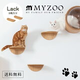 MYZOO ޥ ROUND LACK 饦ɥå(2) ں åȥƥå 1åȡ #ǭ å  ƥå   ê  դ å