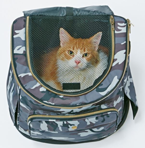 JL necoco ���å����å�����꡼ ����ե� �ڥƥ��� (6����)