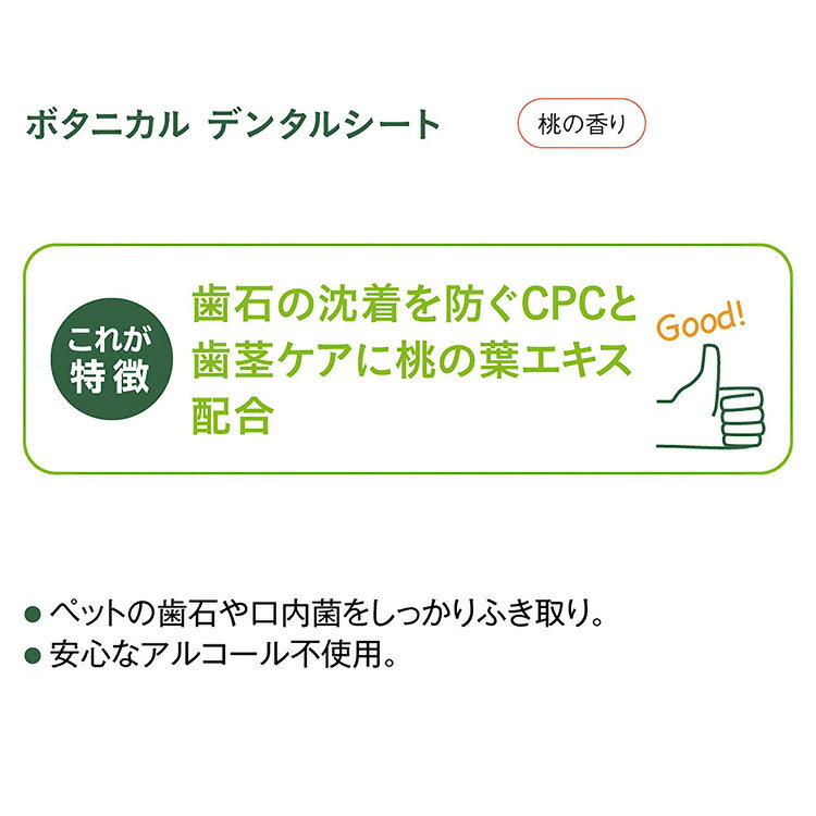 JL ボンビアルコン ボタニカルデンタルシート20枚入 【48個】