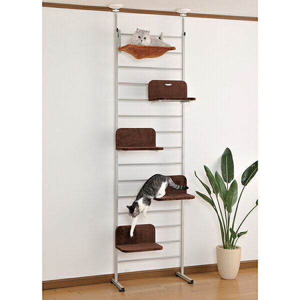 ※この商品はお届け日時をご指定いただけません。またご注文画面において、指定日・指定時間の入力欄が表示されますが、ご指定されても、「日時指定なし」での発送となりますので予めご了承の上ご注文下さい。※メーカー在庫無き場合は、別途納期のご連絡をさせて頂きます。※代引きにてご注文いただきますと、お支払い方法変更の手続きが発生いたします旨、ご了承ください。 ＜場所をとらない都会的なデザイン ジョイントしてネジ止めだけのキャットツリー＞ ジョイントしてネジを止めるだけの簡単組み立て！ 奥行きが少なく、スペースをとりません。 棚板やハンモックは上下左右お好みの位置に取り付け可能。 複数を並べて使えば、ネコちゃんも大喜び！ 床から天井までの高さは、228cm〜273cmの範囲で調整可能です。 ネコちゃんが喜ぶ、やわらかなハンモック。 本体は天井に突っ張らせて固定します。 棚板はお好みの位置に取付可能 表面はスエード生地仕様 座面サイズは幅34cmx奥行き22cm 【商品サイズ】 W650xD370xH2280〜2730mm 【本体総重量】 15kg ＜棚板・ハンモック1段あたりの耐荷重：5kg＞ 【材質】 フレーム部分：スチール 棚板：木、布張、スチール ハンモック：布、スチール 【カラー】 本体フレーム：シャンパンシルバー 棚板：ダークブラウン ハンモック：ブラウン ※ご購入前に天井の高さを充分にご確認ください。