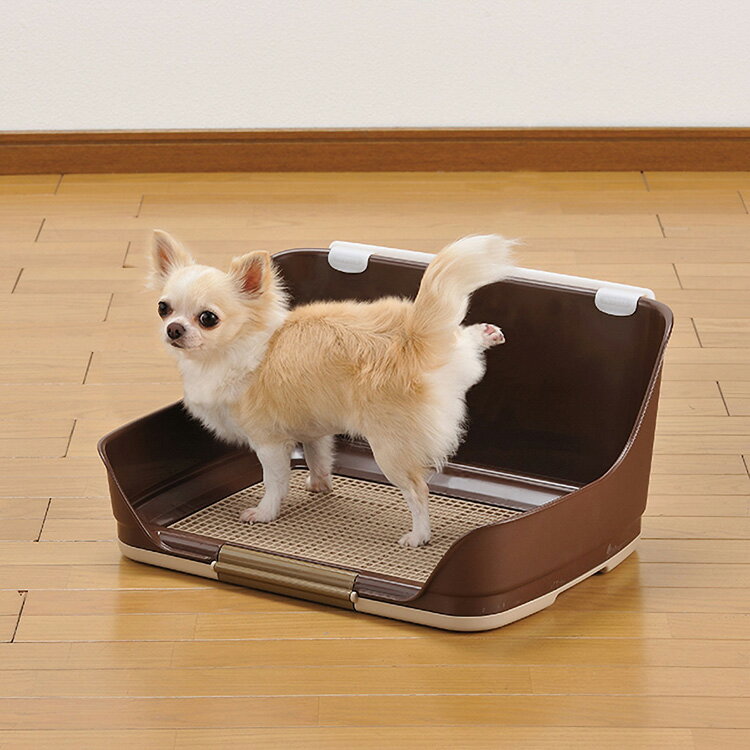 JL �ܥ�ӥ��륳�� ���Ĥ��륦������ȥ졼M����� ��6�ġ�