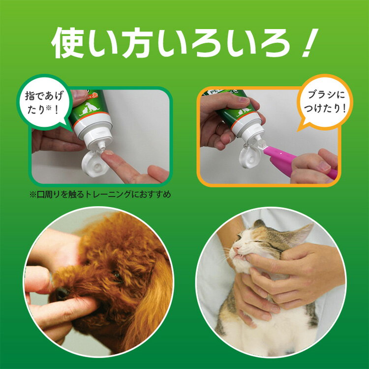 JL �饤����ڥå� PETKISS ���ߤ��������� ��������̣40g ��48�ġ�