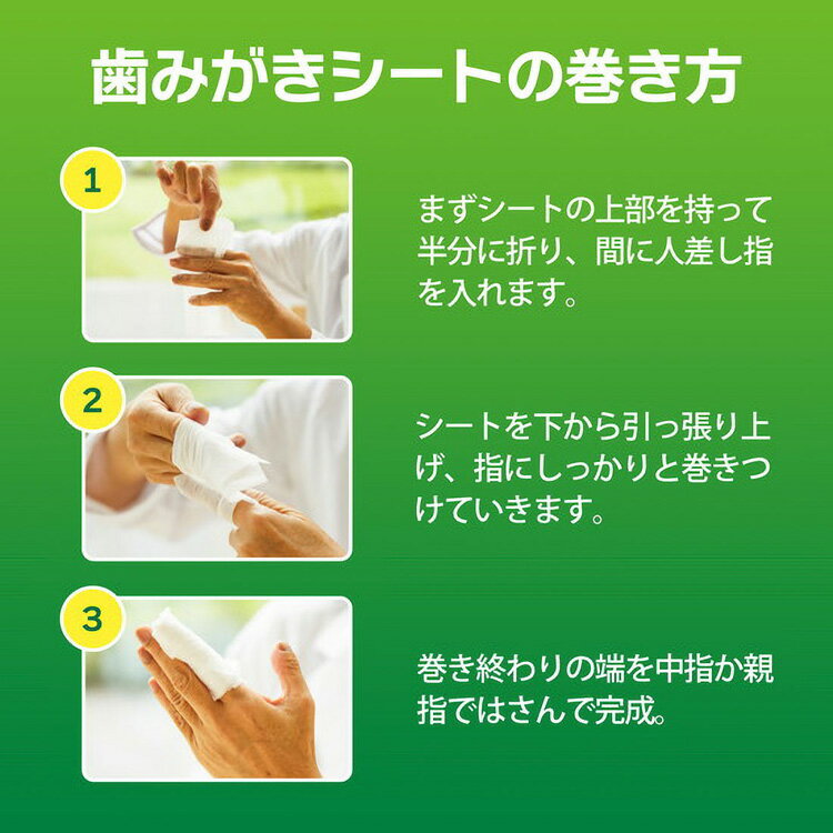 JL ライオンペット PETKISS 歯みがきシートアップルの香り30枚 【48個】