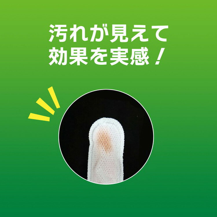 JL ライオンペット PETKISS 指サック歯みがきシート12枚 【48個】