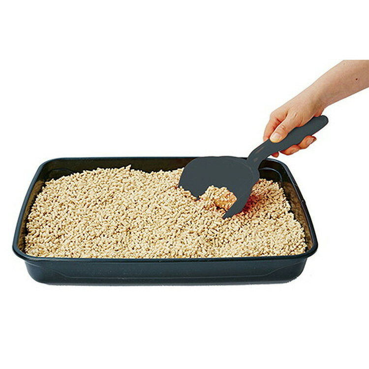 JL �ڥƥ��� Pnecoco �礭������ɥ����å� �֥�å� ��24�ġ�