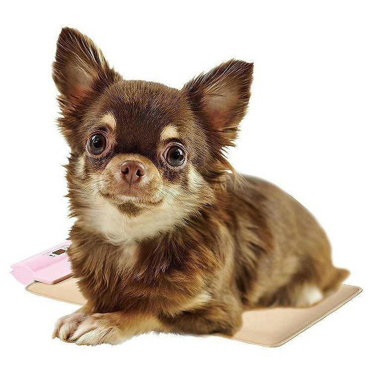 �� JL �ޥ륫�� ���ֳ������餫�ۥäȥҡ�����Ŭ������ߥ� ��12�ġ�