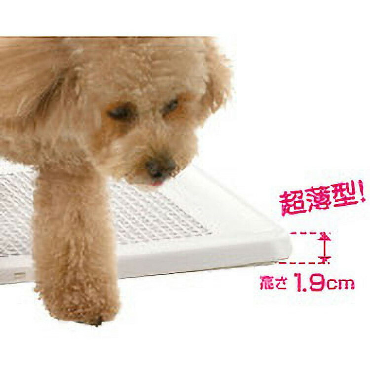 �� JL ��å����� ���ݽ���ñ�ե�åȥȥ졼 �쥮��顼 DB ��20�ġ�